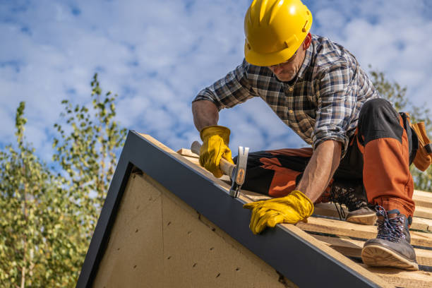 Best Roof Ventilation Installation  in Timberlake, VA